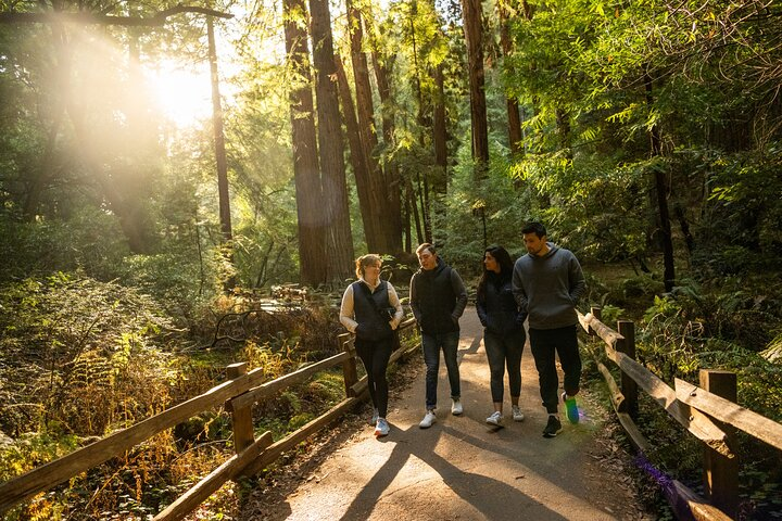 San Francisco to Muir Woods Shuttle - Photo 1 of 13